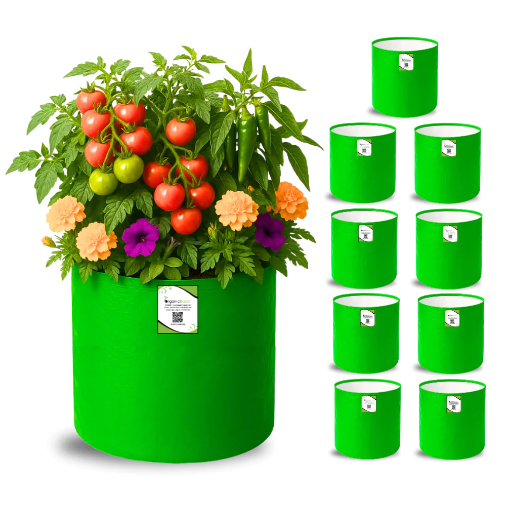 Cultivate Your Dream Green Space