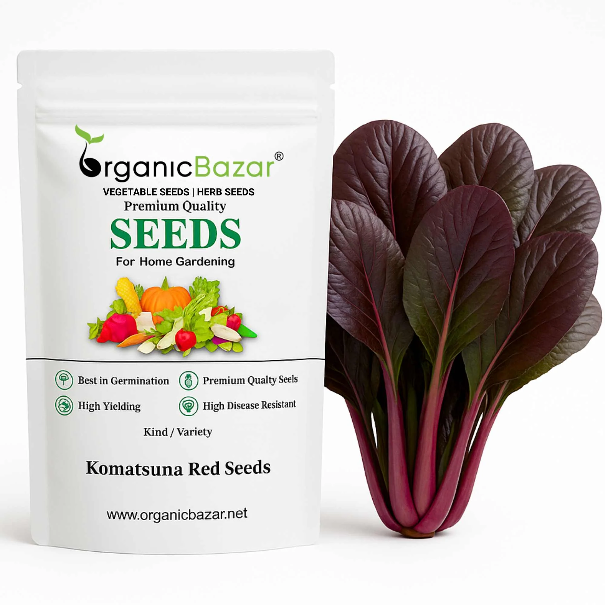 Top Seeds